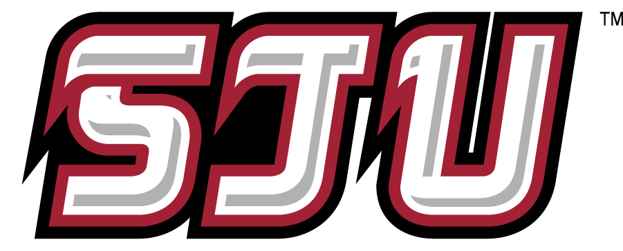 St. Joseph's Hawks 2002-2007 Secondary Logo v2 iron on transfers for T-shirts